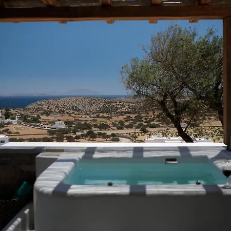 Africanis Схинуса