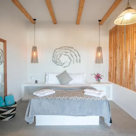 Africanis Схинуса